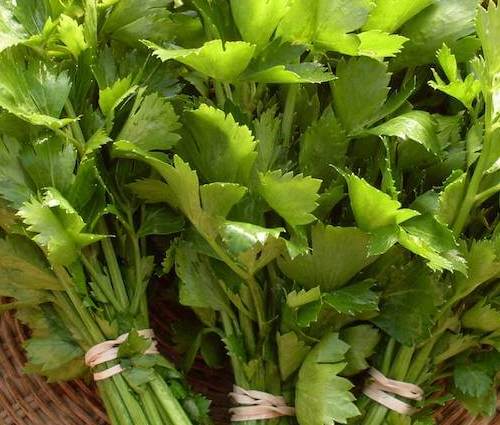 Wholesale
