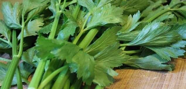 Herbs and Spices